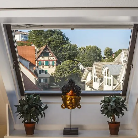 Rebgarten Adler 3* 普富伦多夫