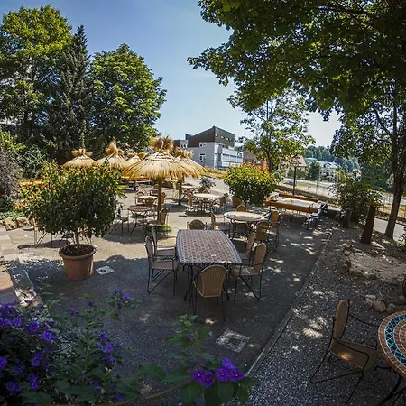 酒店 Rebgarten Adler 3*