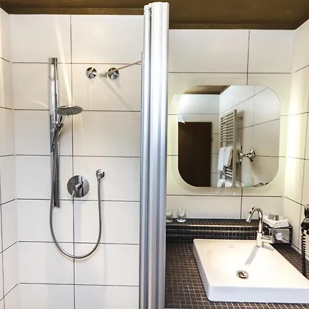 酒店 Rebgarten Adler 3*